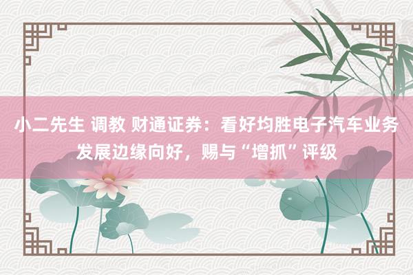 小二先生 调教 财通证券：看好均胜电子汽车业务发展边缘向好，赐与“增抓”评级