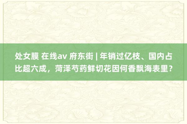 处女膜 在线av 府东街 | 年销过亿枝、国内占比超六成，菏泽芍药鲜切花因何香飘海表里？