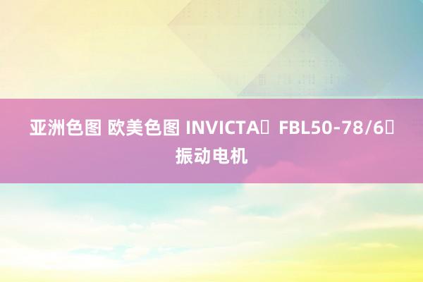 亚洲色图 欧美色图 INVICTA	FBL50-78/6	振动电机