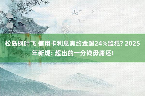 松岛枫叶飞 信用卡利息爽约金超24%监犯? 2025年新规: 超出的一分钱毋庸还!