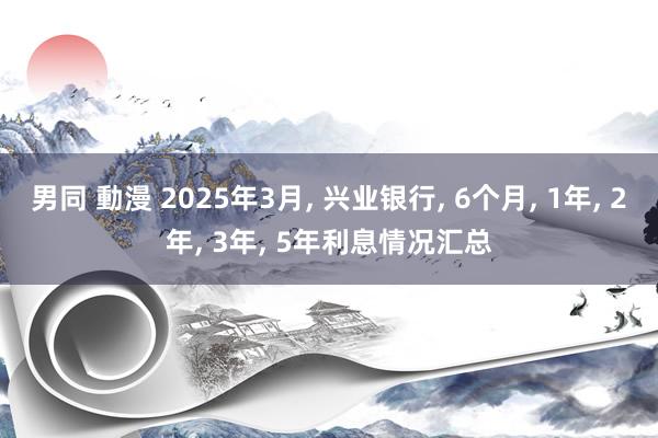 男同 動漫 2025年3月， 兴业银行， 6个月， 1年， 2年， 3年， 5年利息情况汇总