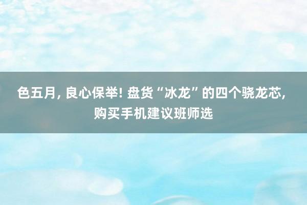 色五月， 良心保举! 盘货“冰龙”的四个骁龙芯， 购买手机建议班师选