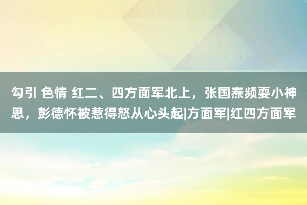 勾引 色情 红二、四方面军北上，张国焘频耍小神思，彭德怀被惹得怒从心头起|方面军|红四方面军