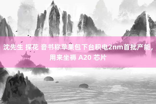 沈先生 探花 音书称苹果包下台积电2nm首批产能，用来坐褥 A20 芯片